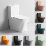 One-piece Toilet - 图片 8