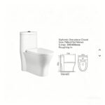 One-Piece Toilet - 图片 3