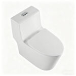 One-Piece Toilet - 图片 3