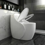One-Piece Toilet - 图片 2