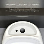 One-Piece Toilet - 图片 3