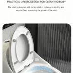 One-Piece Toilet - 图片 4