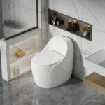 One-Piece Toilet - 图片 6