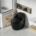 One-Piece Toilet - 图片 7