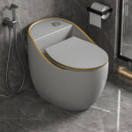 One-Piece Toilet