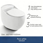 One-Piece Toilet - 图片 4