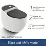 One-Piece Toilet - 图片 5