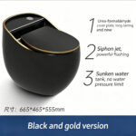 One-Piece Toilet - 图片 7