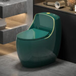 One-Piece Toilet - 图片 2