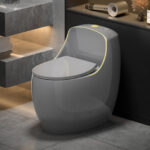 One-Piece Toilet - 图片 3