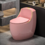 One-Piece Toilet - 图片 5