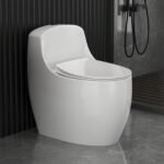 One-Piece Toilet