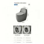 One-Piece Toilet - 图片 6