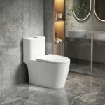 One-Piece Toilet - 图片 2