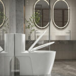 One-Piece Toilet - 图片 3