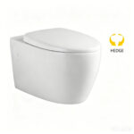 Wall Hung Toilet - 图片 12