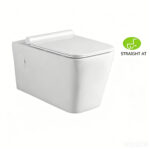 Wall Hung Toilet - 图片 11