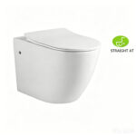 Wall Hung Toilet - 图片 10