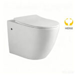 Wall Hung Toilet - 图片 9