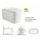 Wall Hung Toilet - 图片 6