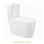 One-Piece Toilet - 图片 2