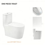 One-Piece Toilet - 图片 3