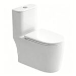 One-Piece Toilet