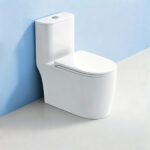 One-Piece Toilet - 图片 6
