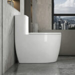 One-Piece Toilet - 图片 2