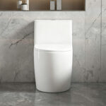 One-Piece Toilet - 图片 3