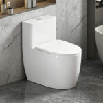 One-Piece Toilet
