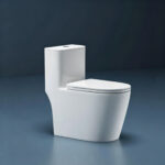 One-Piece Toilet - 图片 6