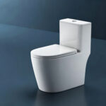 One-Piece Toilet