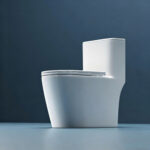 One-Piece Toilet - 图片 5