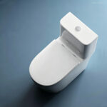 One-Piece Toilet - 图片 4