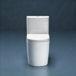 One-Piece Toilet - 图片 3