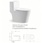 One-Piece Toilet - 图片 2