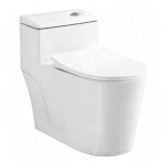 One-Piece Toilet