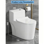 One-Piece Toilet - 图片 3