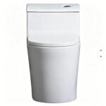 One-Piece Toilet - 图片 4