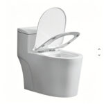 One-Piece Toilet - 图片 5