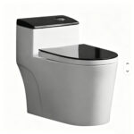 One-Piece Toilet - 图片 6