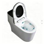 One-Piece Toilet - 图片 7