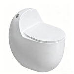 Egg-shaped Toilet