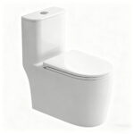 One-Piece Toilet