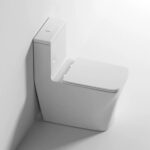 One-piece Toilet - 图片 7
