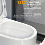 One-Piece Toilet - 图片 5