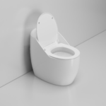 One-Piece Toilet - 图片 3