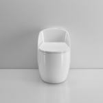 One-Piece Toilet - 图片 5