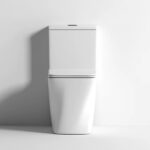 One-piece Toilet